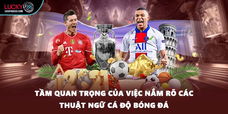 Tầm quan trọng của việc nắm rõ các thuật ngữ cá độ bóng đá