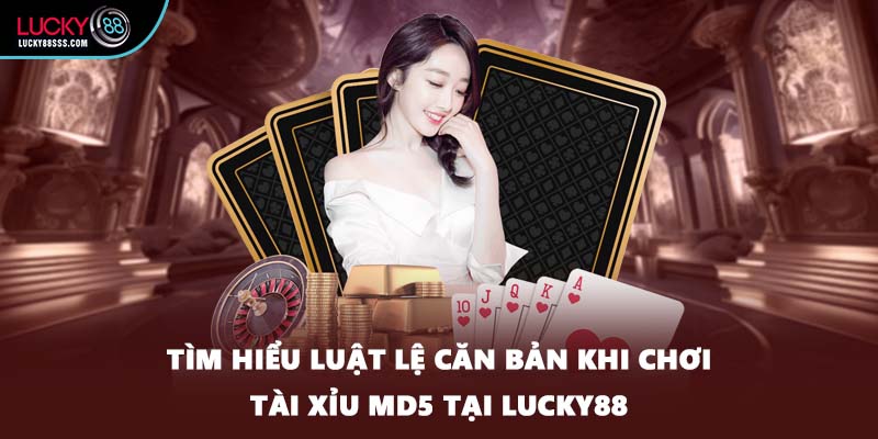 Tìm hiểu luật lệ căn bản khi chơi tài xỉu MD5 tại LUCKY88